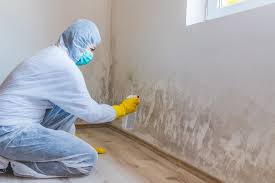 Mold Documentation for Insurance Claims in Stanford, CA